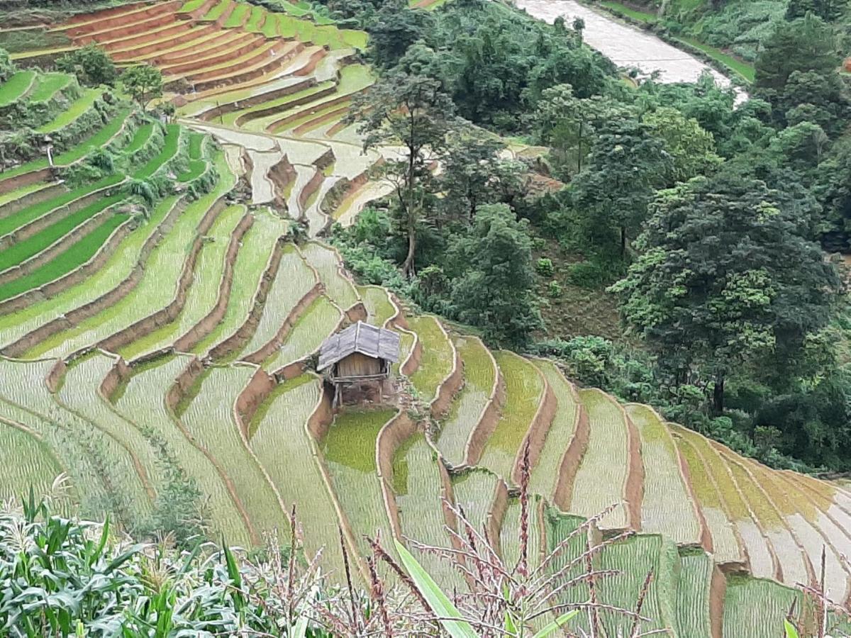 Dong Suoi H'Mong Homestay & Bungalow - Trek & Vegetarian Food Mu Cang Chai المظهر الخارجي الصورة