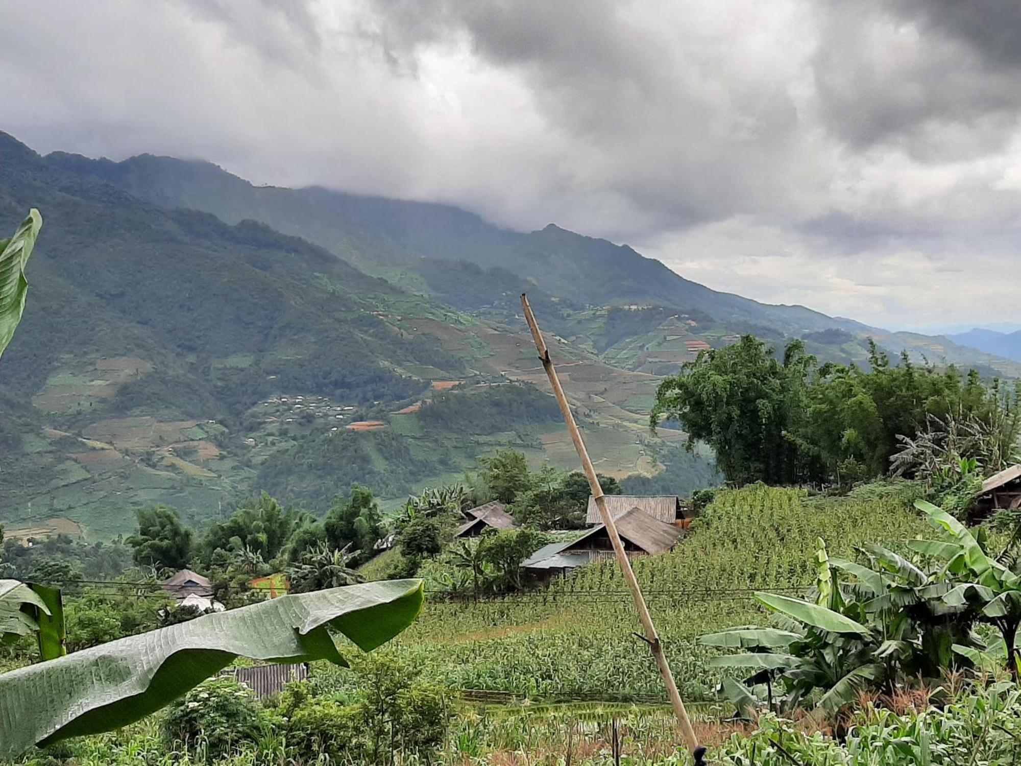 Dong Suoi H'Mong Homestay & Bungalow - Trek & Vegetarian Food Mu Cang Chai المظهر الخارجي الصورة