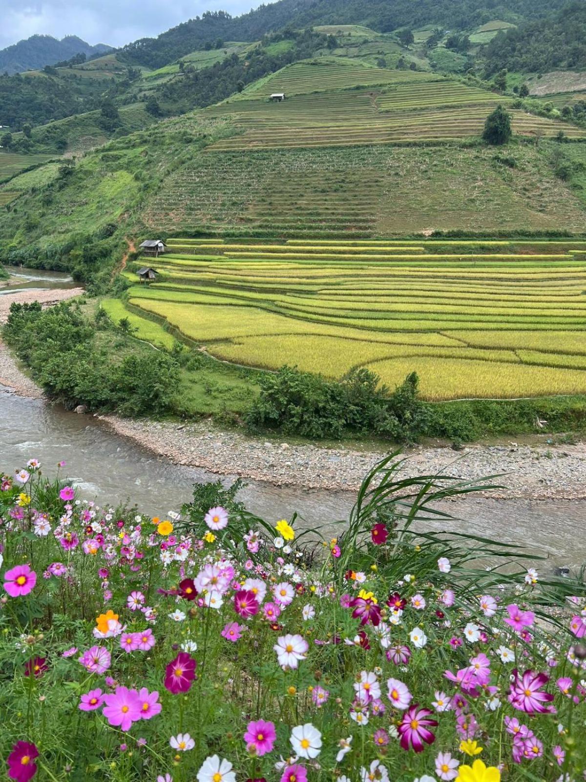 Dong Suoi H'Mong Homestay & Bungalow - Trek & Vegetarian Food Mu Cang Chai المظهر الخارجي الصورة