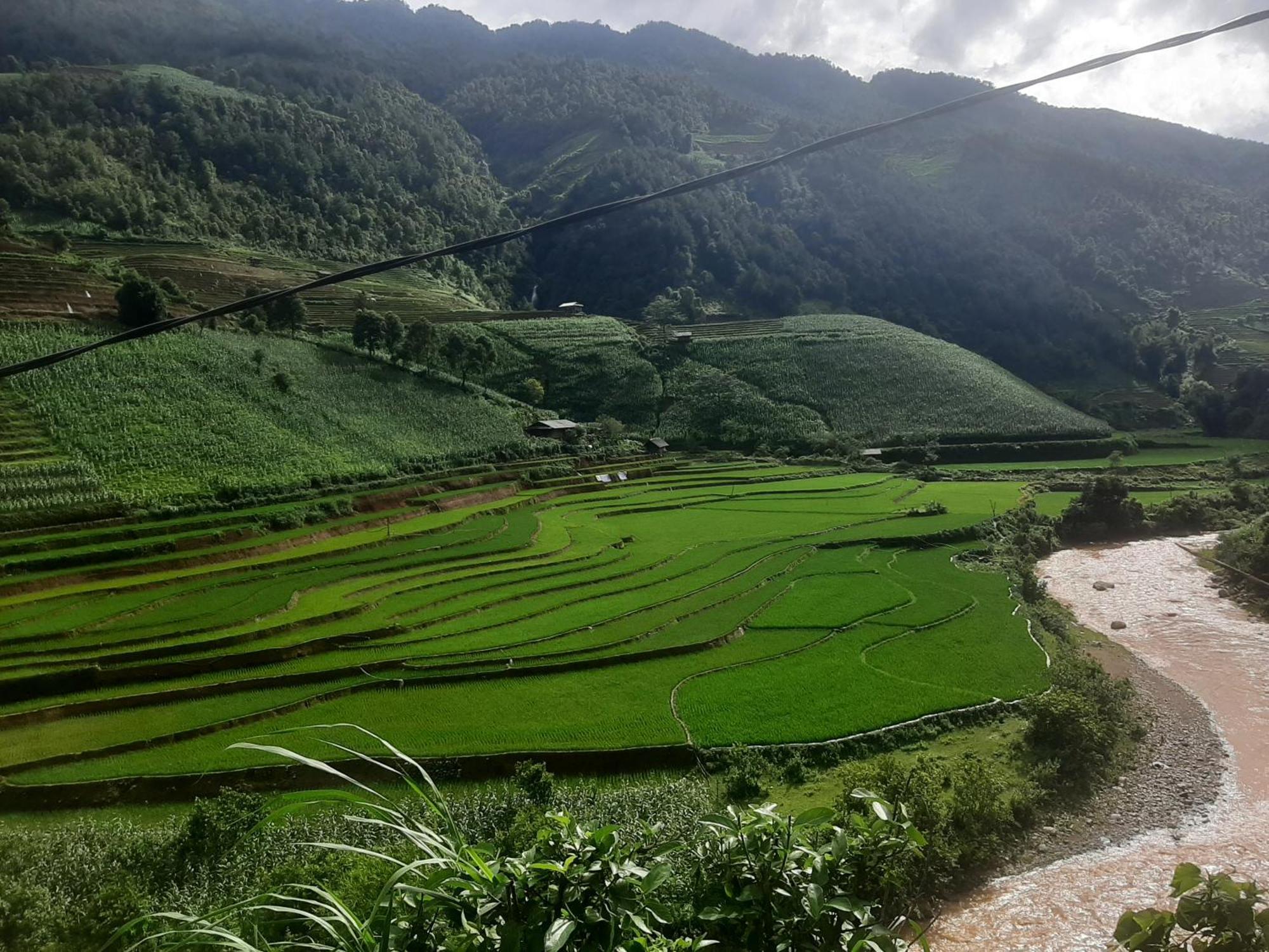 Dong Suoi H'Mong Homestay & Bungalow - Trek & Vegetarian Food Mu Cang Chai المظهر الخارجي الصورة